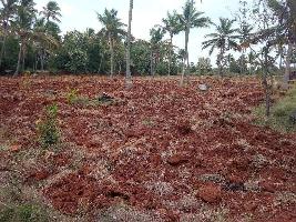  Agricultural Land for Sale in Achampudur, Tirunelveli