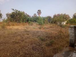  Agricultural Land for Sale in Rajapalayam, Virudhunagar
