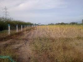  Agricultural Land for Sale in Melapalayam, Tirunelveli