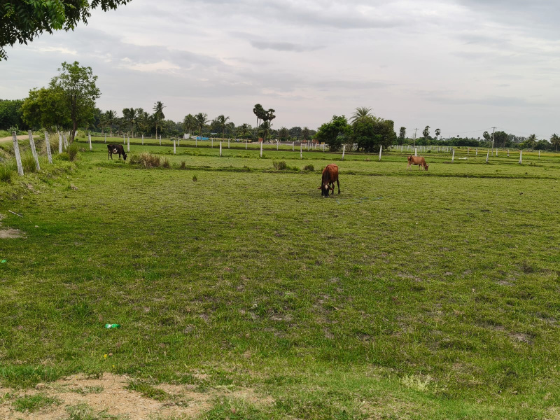  Agricultural Land 2 Acre for Sale in Salavakkam, Kanchipuram