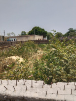 Commercial Land for Sale in Singh More, Ranchi