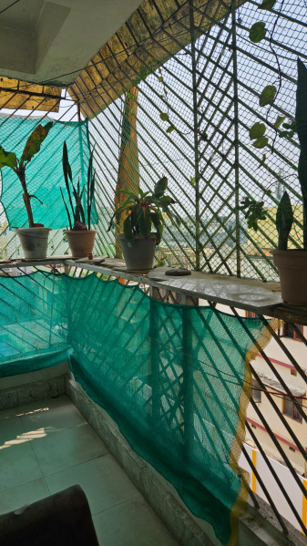 3 BHK Apartment 1400 Sq.ft. for Rent in Dibdih, Ranchi