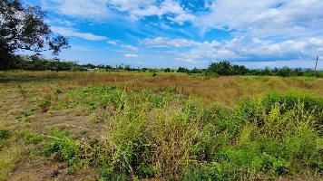  Agricultural Land for Sale in Karjat, Mumbai