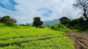  Agricultural Land for Sale in Karjat, Mumbai