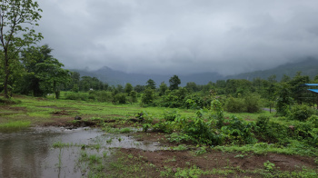  Agricultural Land for Sale in Karjat, Mumbai