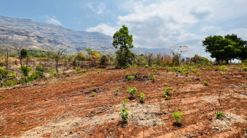  Agricultural Land for Sale in Karjat, Mumbai