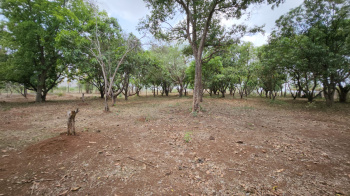  Agricultural Land for Sale in Karjat, Mumbai