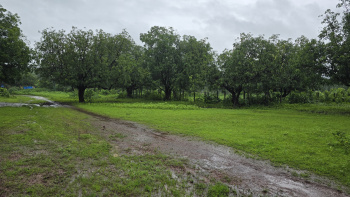  Agricultural Land for Sale in Karjat, Mumbai