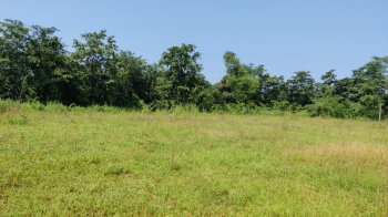  Agricultural Land for Sale in Karjat, Mumbai