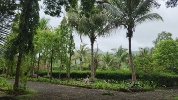 4 BHK Farm House for Sale in Karjat, Mumbai