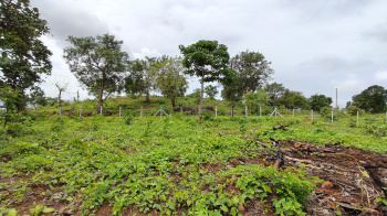  Agricultural Land for Sale in Karjat, Mumbai