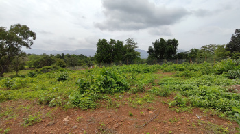  Agricultural Land for Sale in Karjat, Mumbai