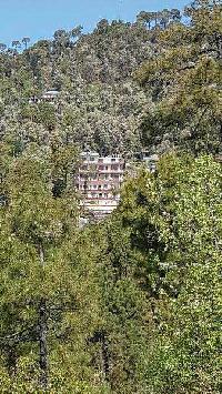  Hotels for Sale in Tota Rani, Dharamsala