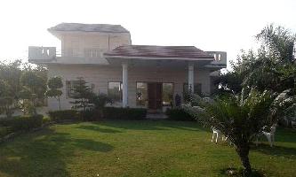  Agricultural Land for Sale in Charmswood Village, Faridabad