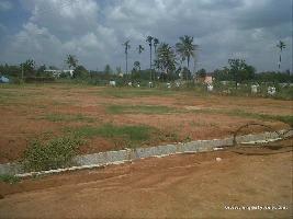  Residential Plot for Sale in Kaladhungi Road, Nainital