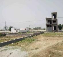  Residential Plot for Sale in Sector 116 Noida