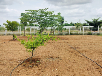 Residential Plot for Sale in Gauribidanur, Bangalore