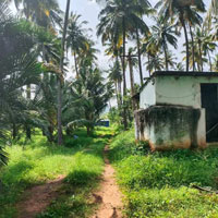  Agricultural Land for Sale in Ayyampalayam, Dindigul