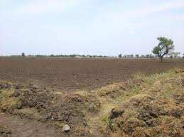 Agricultural Land 2 Acre for Sale in Shirur, Nagpur