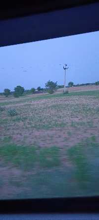  Agricultural Land for Sale in Sri Dungargarh, Bikaner