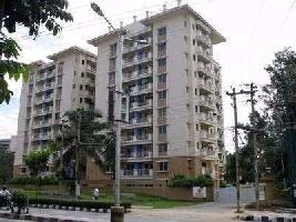 3 BHK Flat for Rent in Whitefield, Bangalore