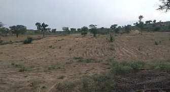  Agricultural Land for Sale in Balotra, Barmer