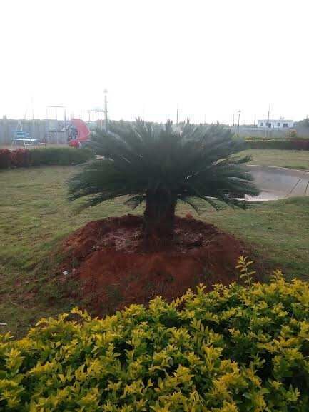  Residential Plot 1200 Sq.ft. for Sale in Sarjapur Road, Bangalore