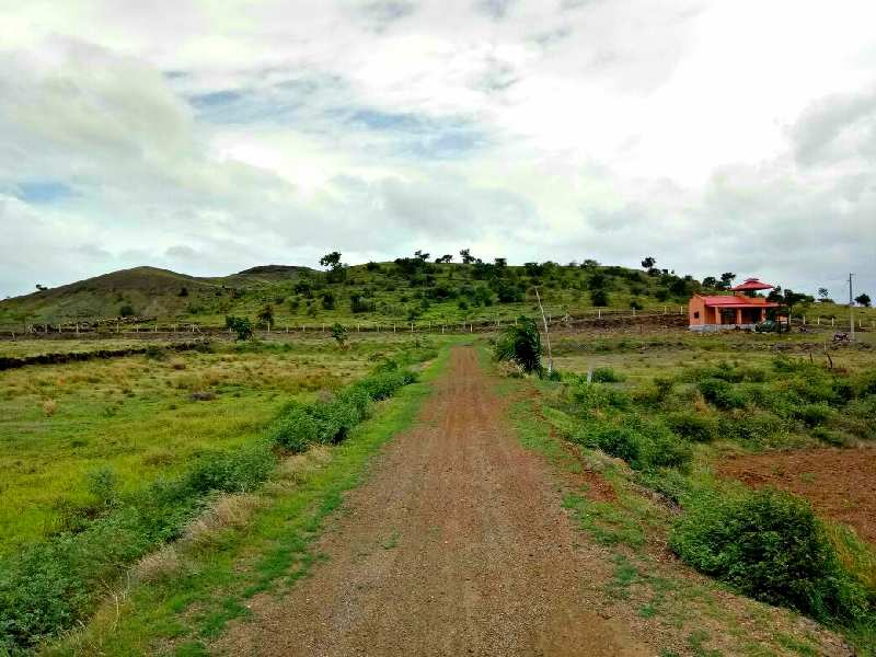 11000 Sq.ft. Farm House for Sale in Jejuri MIDC, Pune