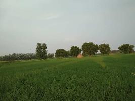  Agricultural Land for Sale in Gabhana, Aligarh