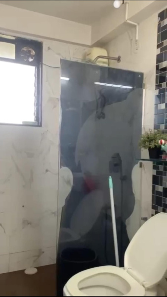 2 BHK 1000 Sq.ft. Apartment for Sale in Agripada, Mumbai