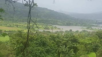 100 Acre Agricultural Land for Sale in Lonavala, Pune