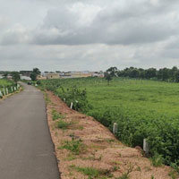  Agricultural Land for Sale in Shadnagar, Hyderabad
