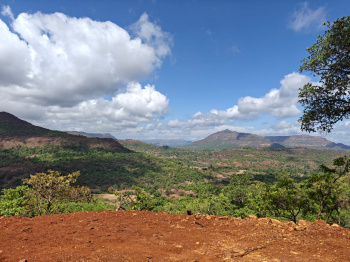  Agricultural Land for Sale in Mulshi, Pune