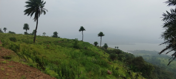  Agricultural Land for Sale in Bhor, Pune