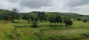  Agricultural Land for Sale in Ketkawale, Pune