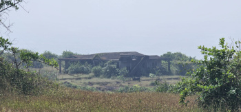 Agricultural Land for Sale in Devgad, Sindhudurg