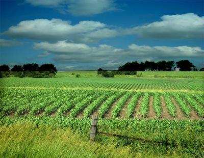 Agricultural Land 2 Ares for Sale in