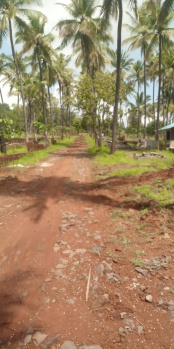  Agricultural Land for Sale in Mangaon, Raigad