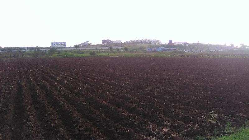 Agricultural Land 3 Bigha for Sale in Mhow, Indore