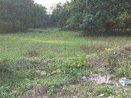  Commercial Land for Sale in Chinsurah, Hooghly