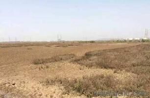  Residential Plot for Sale in Uran, Navi Mumbai