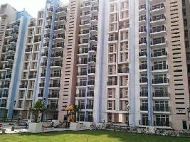 2 BHK Flat for Sale in Sector 35 Sonipat