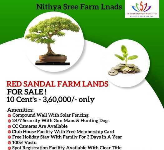 Nithya Sree Farm Lands