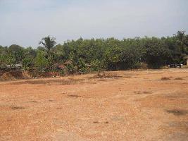  Agricultural Land for Sale in Agastheeswaram, Kanyakumari