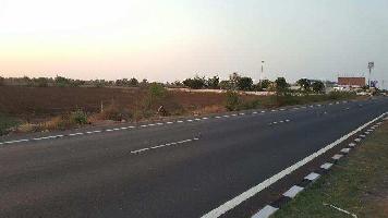  Agricultural Land for Sale in Ahmedabad Rajkot Highway, Surendranagar