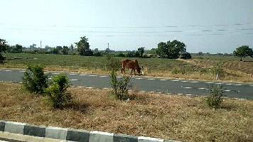  Agricultural Land for Sale in Keshod, Junagadh