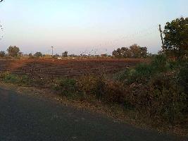  Agricultural Land for Sale in Kodinar, Gir Somnath