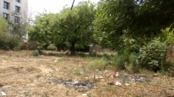  Industrial Land for Sale in Sector 16, Gurgaon