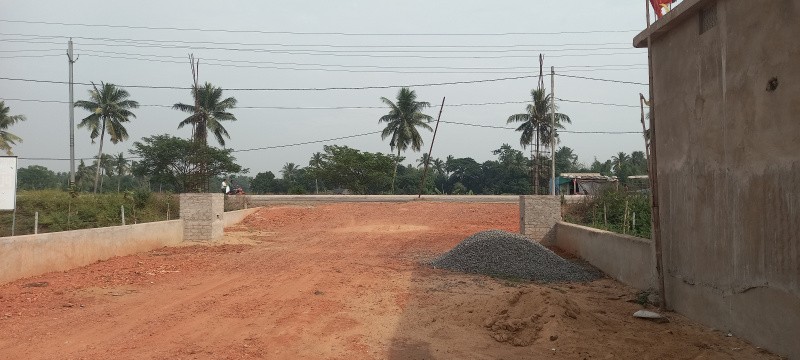 Residential Plot 2000 Sq.ft. for Sale in Trisulia, Cuttack