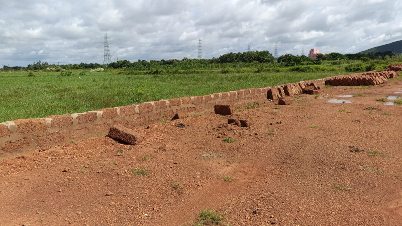  Residential Plot 20000 Sq.ft. for Sale in Baliapanda, Puri